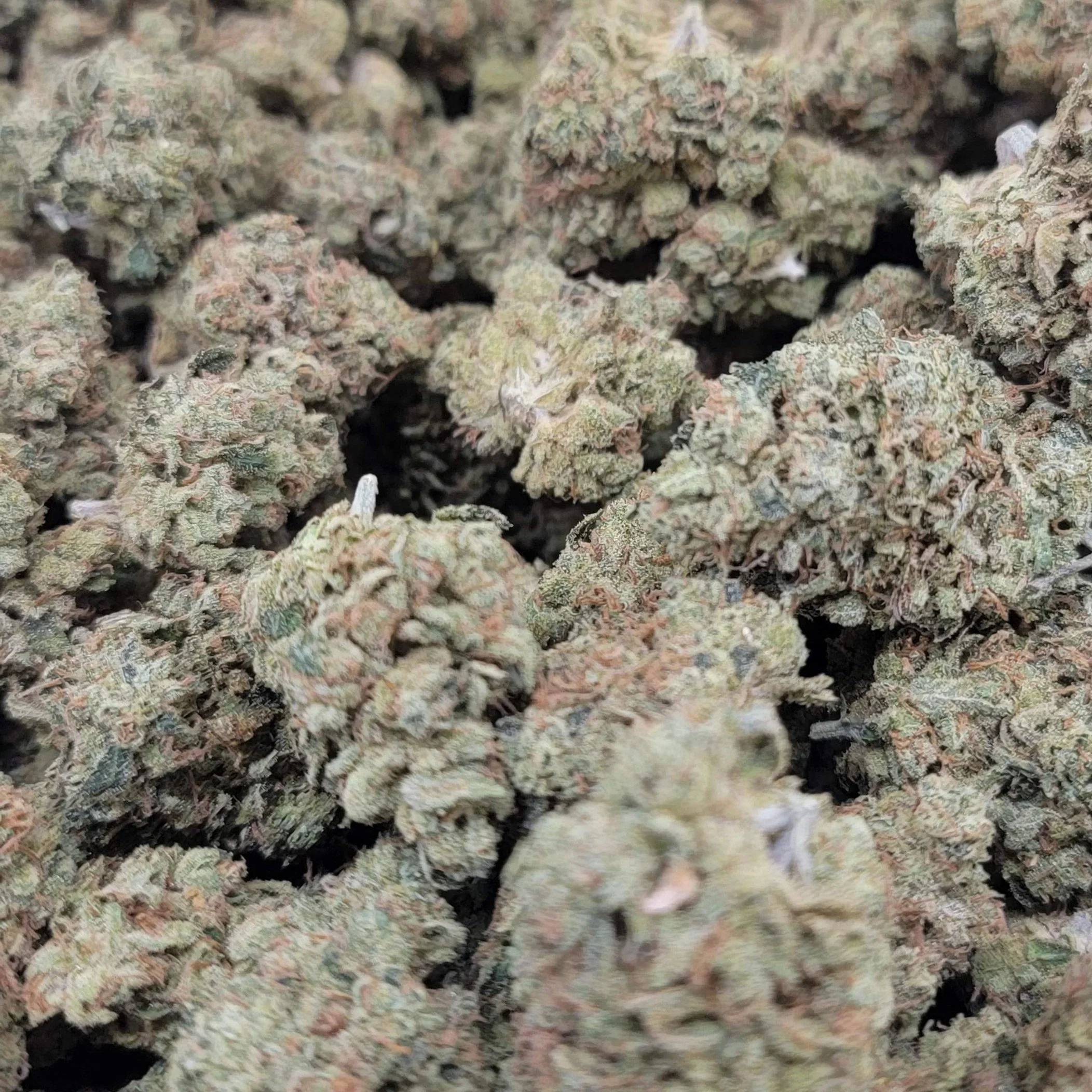 Chem D