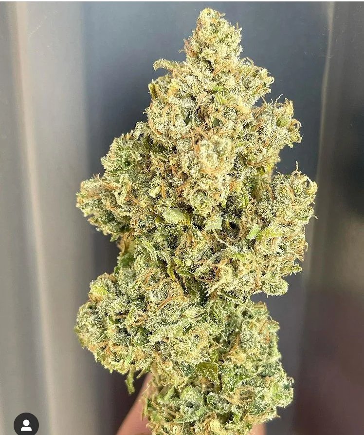 Durban Poison