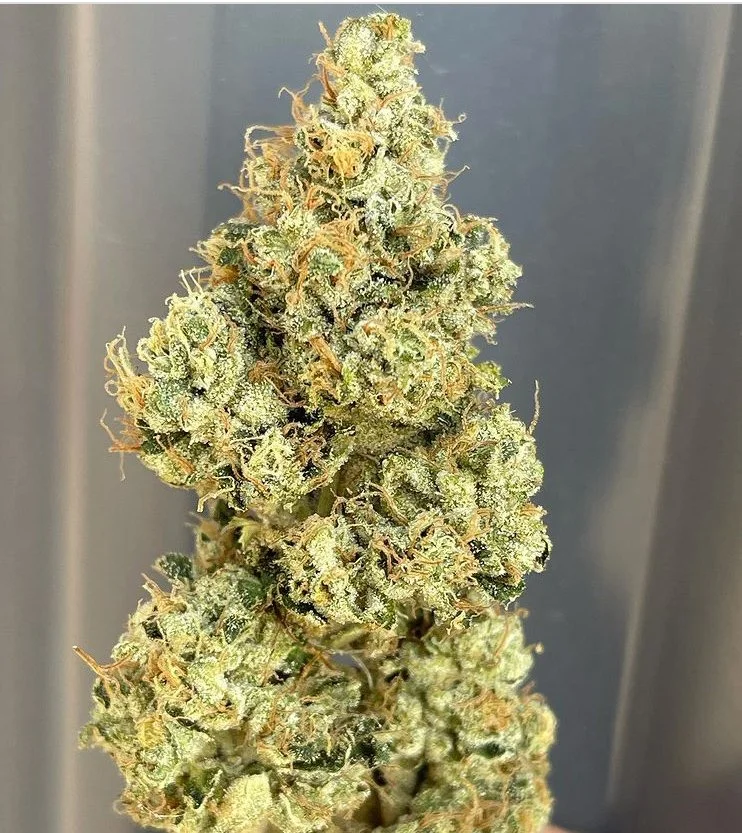 Chemdog 91