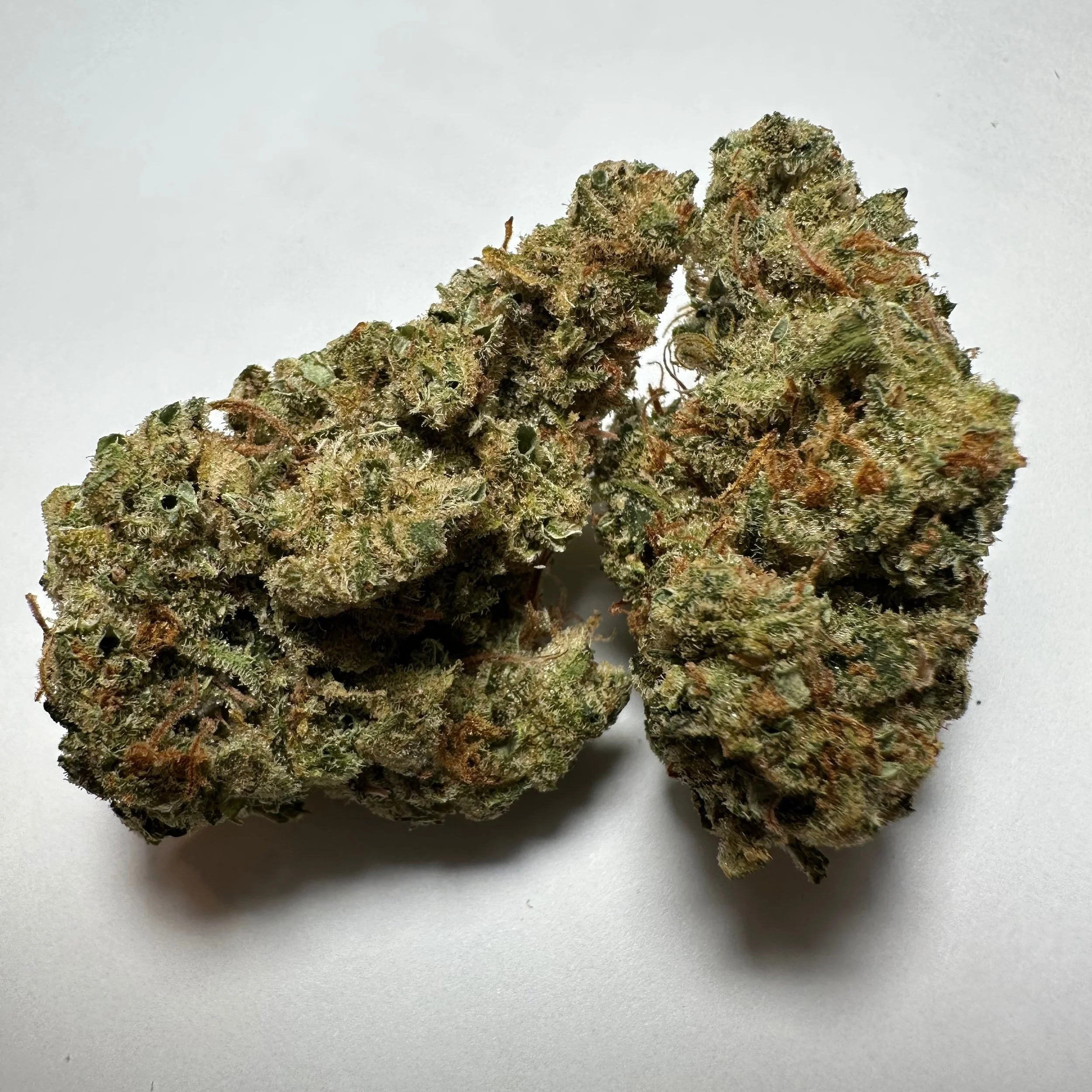 Amnesia Lemon